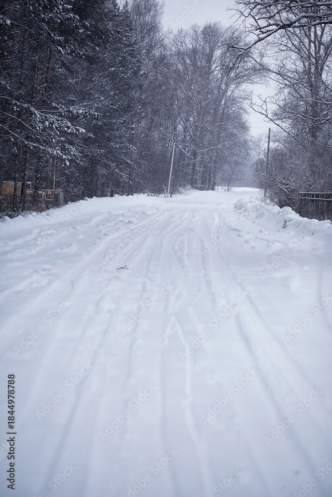Fototapeta premium Winter forest. Landscape of the park in winter. Snow-covered trees at the edge.