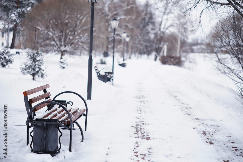 Naklejka premium Winter forest landscape. Tall trees under snow cover. January frosty day in the park.