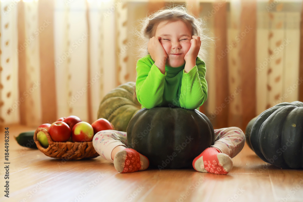 Fototapeta premium Little child choose a pumpkin at autumn. Child sitting on giant pumpkin. Pumpkin is traditional vegetable used on American holidays - Halloween and Thanksgiving Day.