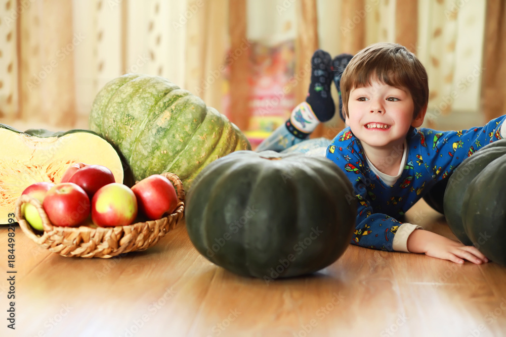 Fototapeta premium Little child choose a pumpkin at autumn. Child sitting on giant pumpkin. Pumpkin is traditional vegetable used on American holidays - Halloween and Thanksgiving Day.