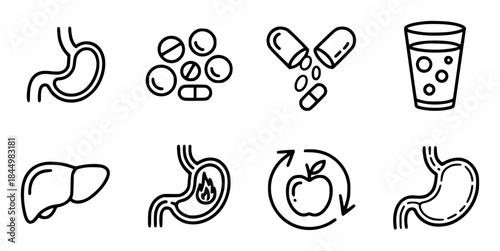 Medical Icons Stomach, Liver, Pills, and Healthy Lifestyle Symbols