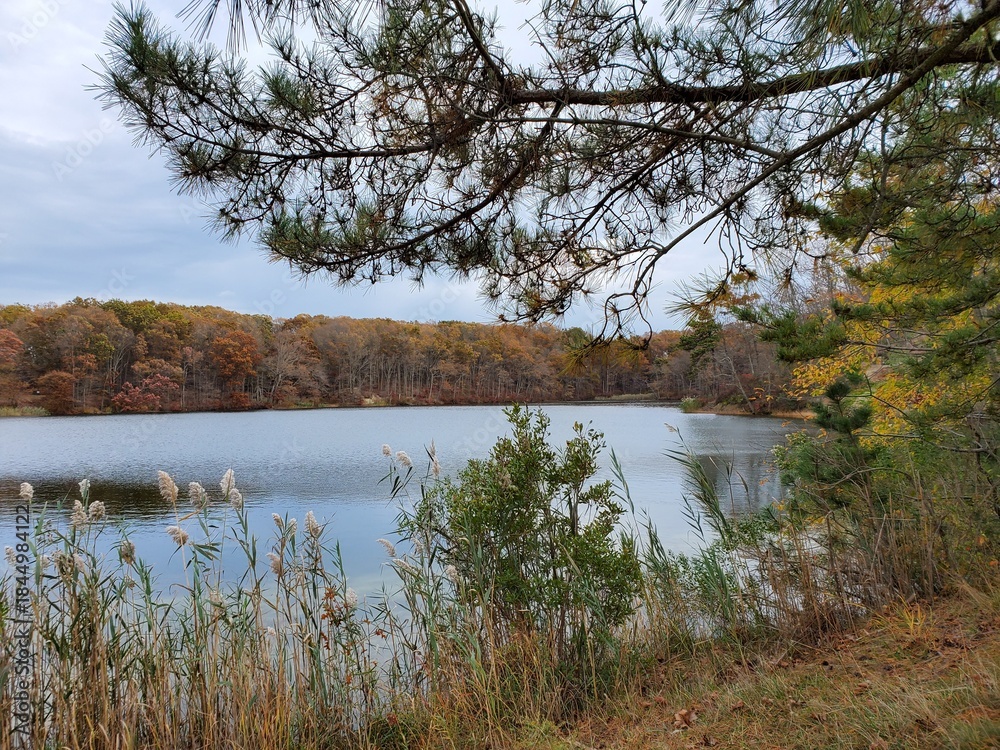 Obraz premium Autumn at Hooks Creek Lake, Cheesequake State Park, Matawan, New Jersey