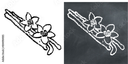 Chalk handdrawn vanilla vector for bakery menus and ice cream flavors. Symbolizes sweet aroma, orchids, and organic spice. Ideal for cafe boards.