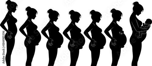 Pregnancy Stages Silhouette Expectant Mother Newborn Baby pregnant.
