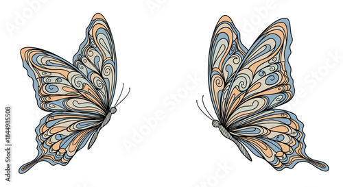 Two ornate butterflies with blue peach and cream patterned wings face opposite directions in a symmetrical illustration featuring swirling linework.