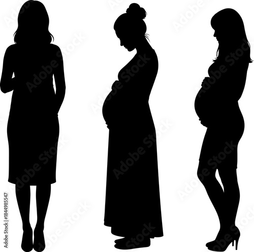 Pregnant Woman Silhouettes Stages of Pregnancy Expectant Mother pregnant.