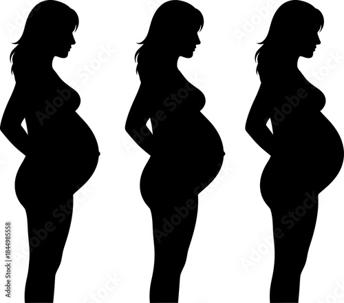 Pregnant Woman Silhouettes Pregnancy Stages Expectant Mother pregnant.