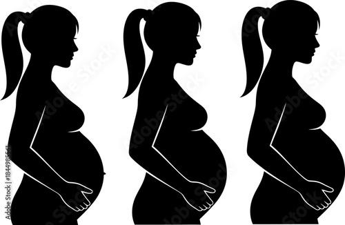 Pregnant woman silhouettes pregnancy stages expectant mother profiles pregnant.