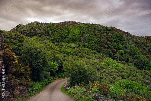 2023-06-07 SMALL ROAD CUTTING THROUGH THE LUSH COUNTRYSIDE NEAR LAIRG WITH A CLOUDY SKY IN THE SCOTTISH HIGHLANDS
