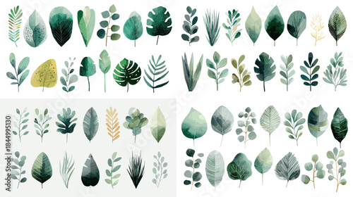Botanical leaf illustration set with soft watercolor textures and natural green tones perfect for nature themed design decoration prints and eco friendly visual projects