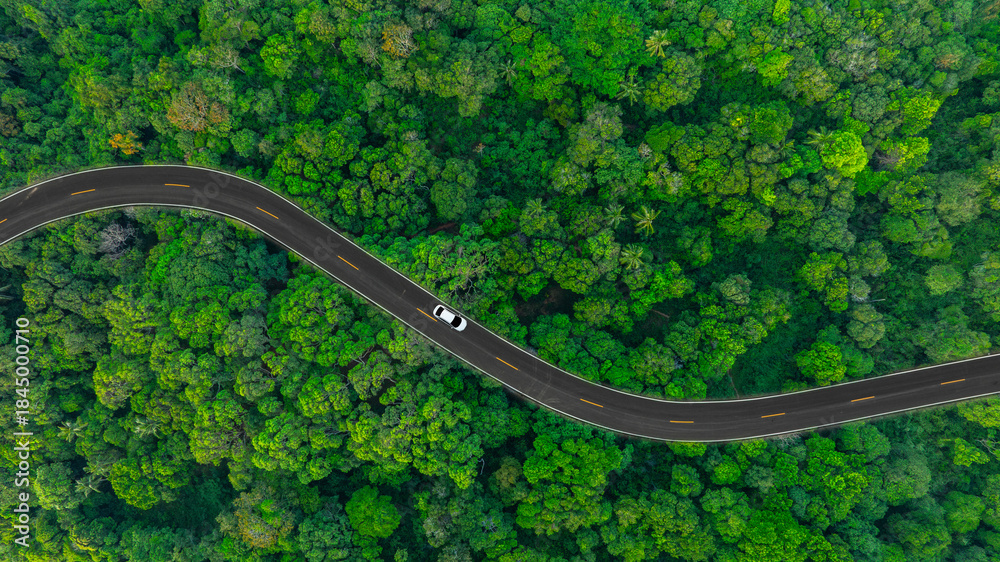 Obraz premium Aerial view of dark green forest road and white electric car Natural landscape and elevated roads Adventure travel and transportation and environmental protection concept 