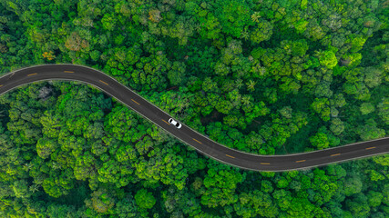 Fotobehang Groen Aerial view of dark green forest road and white electric car Natural landscape and elevated roads Adventure travel and transportation and environmental protection concept    © Media 