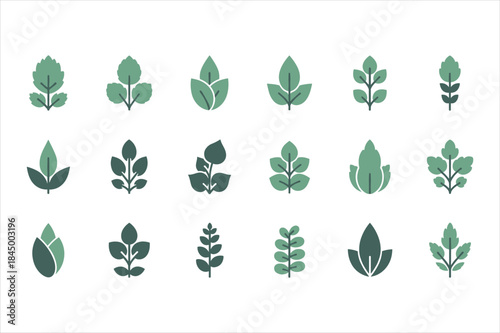 The essential guide to vector files for designers, artists, and digital creators