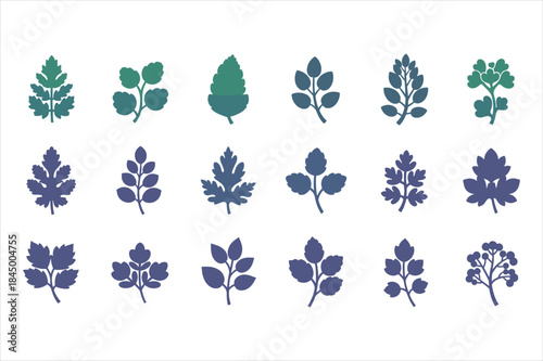 Abstract representation of a digital vector file for graphic design projects