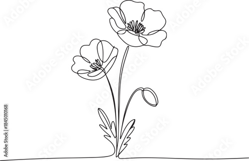 Poppy flowers in continuous line art drawing style. Doodle floral border with two flowers blooming among grass.