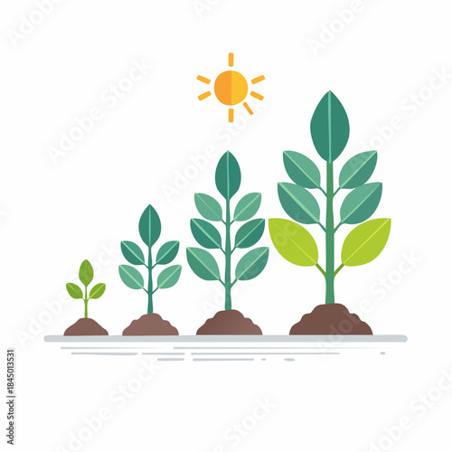 Plant Growth Stages Agriculture Concept Flat Vector
