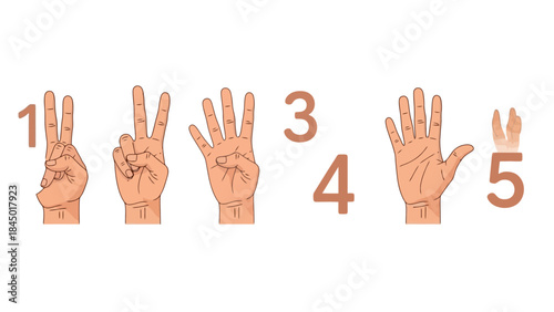 Numbers 1 to 5 Illustrated with Human Hand Gestures and Arabic Numerals