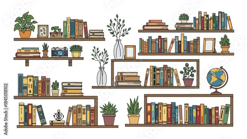 Vector illustration of decorative bookshelves filled with books, plants, and globes