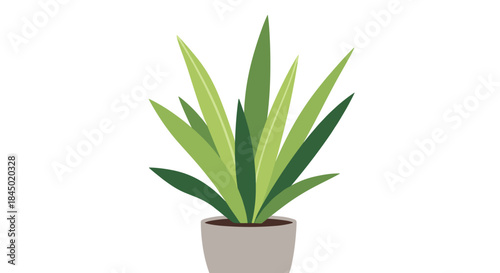 Simple flat design illustration of a healthy green snake plant in a gray pot, isolated on a clean white background.