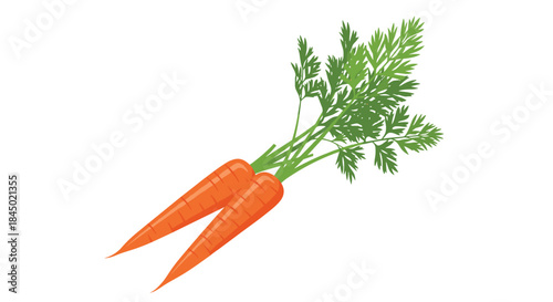 Two fresh, bright orange carrots with lush green leafy tops, illustrated in a simple, clean style on a white background.