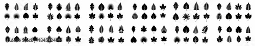 Large collection of diverse black leaf silhouettes and icons, including fern, oak, maple, and palm, isolated on a white background.