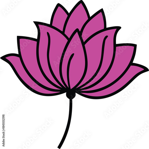 Stylized pink lotus flower with black outline on a transparent background bloom petal