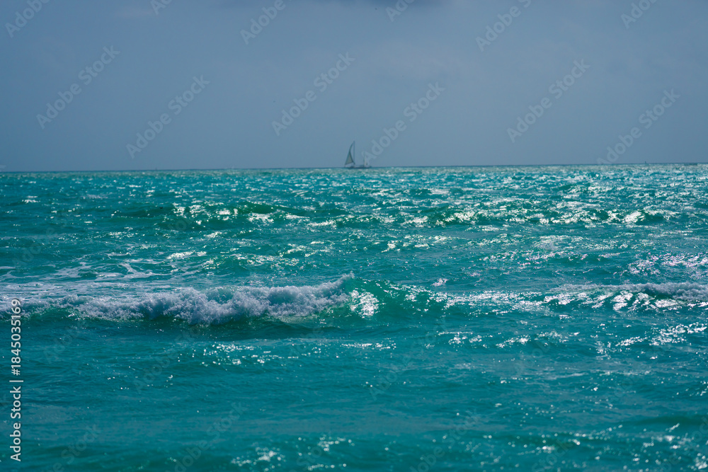 Fototapeta premium Summer beach scene. Tropical beach coastline. Exotic beach destination. Foamy beach waves. Sunny holiday.