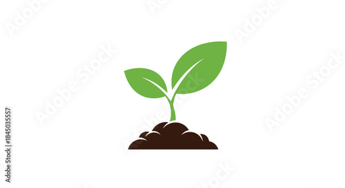A simple illustration of a small green plant sprout with two leaves growing out of the soil representing new life and growth.