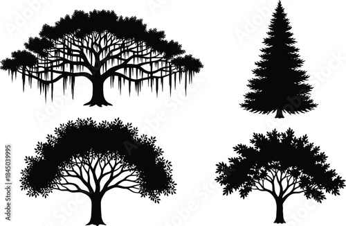 Vector Set of Various Plant Species Including Banyan, Fir, and Deciduous Trees, Perfect for Nature and Landscape Design