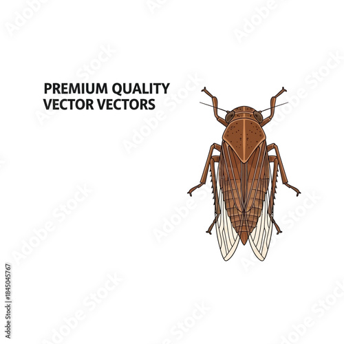 Cockroach, Colorado potato beetle, and other insect pests isolated on a white background in a macro close-up of small bugs and wildlife