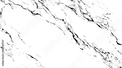 White marble texture with black veins