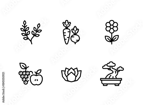 Herbs Vegetables Flowers Fruits Succulents Bonsai Minimal Bold Line Icon Set Arranged