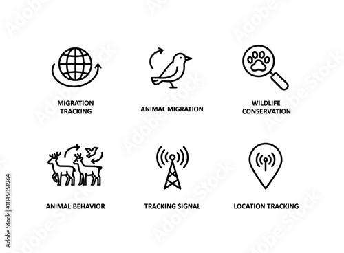 Migration Tracking Animal Migration Wildlife Conservation Animal Behavior Tracking Minimal Icon Set