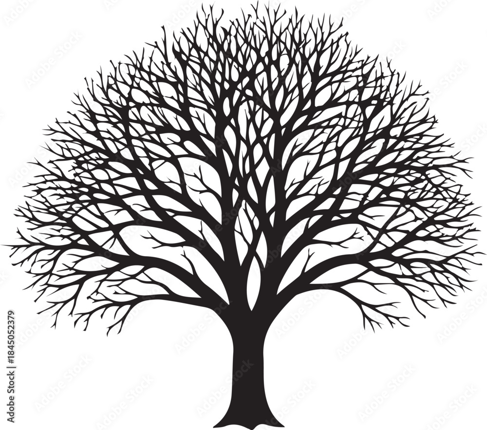 Obraz premium Illustration of black silhouette of a bare tree