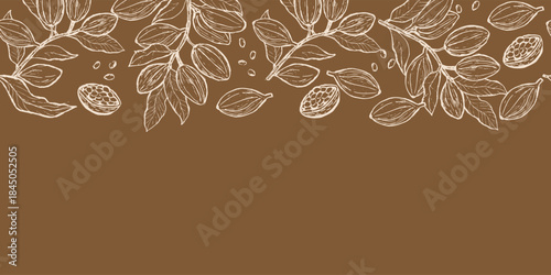 Cocoa branches and pods in engraving linear style for food background. Seamless floral border outline on brown backdrop. Chocolate or cacao design.