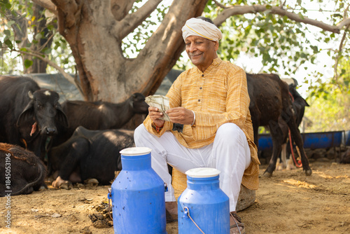 Rural indian dairy farmer counting money, earning and profits, Cattle Farming industry, Successful cow milk business. India economy