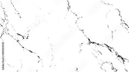white marble texture with black veins