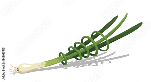 Creative illustration of a fresh green spring onion with a whimsical spiral wrapped around its leaves, isolated on white background.