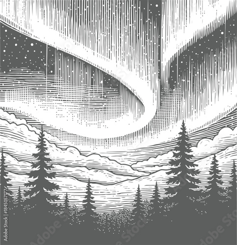 Northern Lights Over Pine Forest Engraving Illustration – Aurora Borealis Night Sky Vintage Line Art