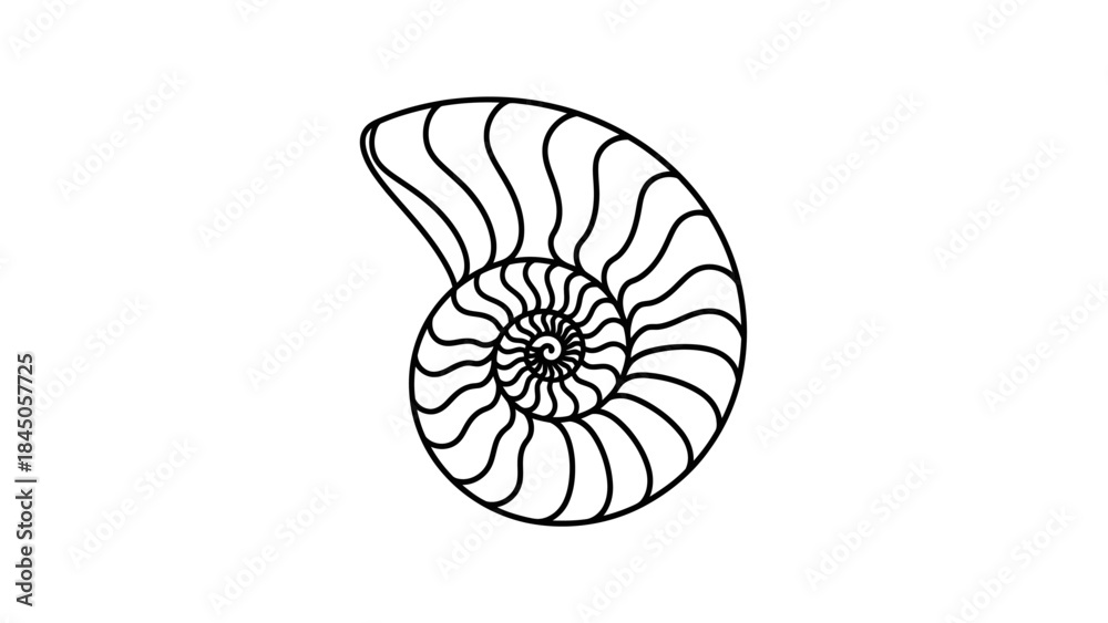 Obraz premium seashell isolated on white background