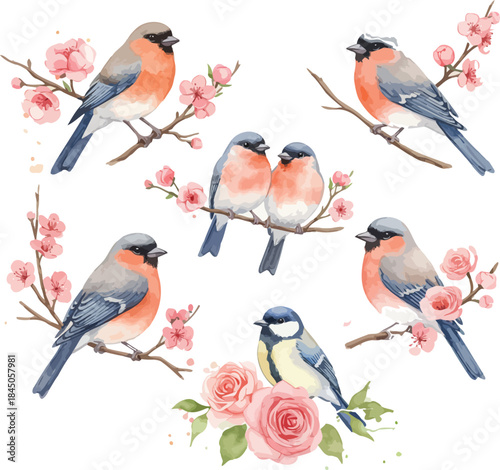 Watercolor birds on blossoming branches