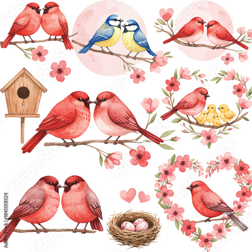 Watercolor birds on branches with flowers