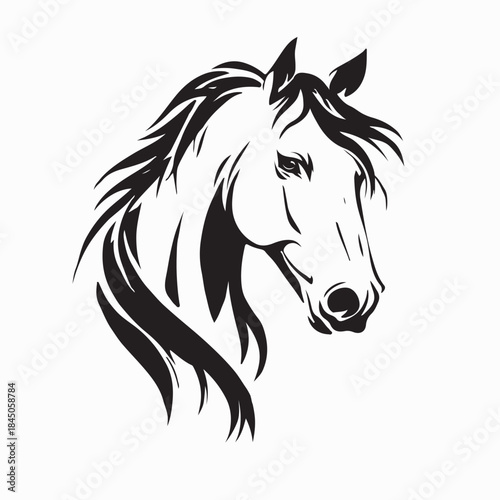 Horse Head Logo Vector Illustration Design Template  Vector Image 