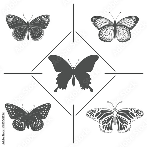 Collection of five detailed butterfly silhouettes in a symmetrical arrangement