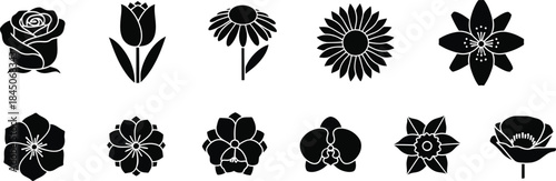 A simple minimalist illustration representing a vector graphic file document type