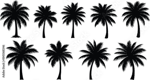 Abstract illustration featuring the text 'vector file' on a clean white background