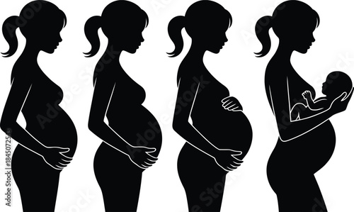 A visual progression of pregnancy from early stages to birth, illustrated through silhouettes.