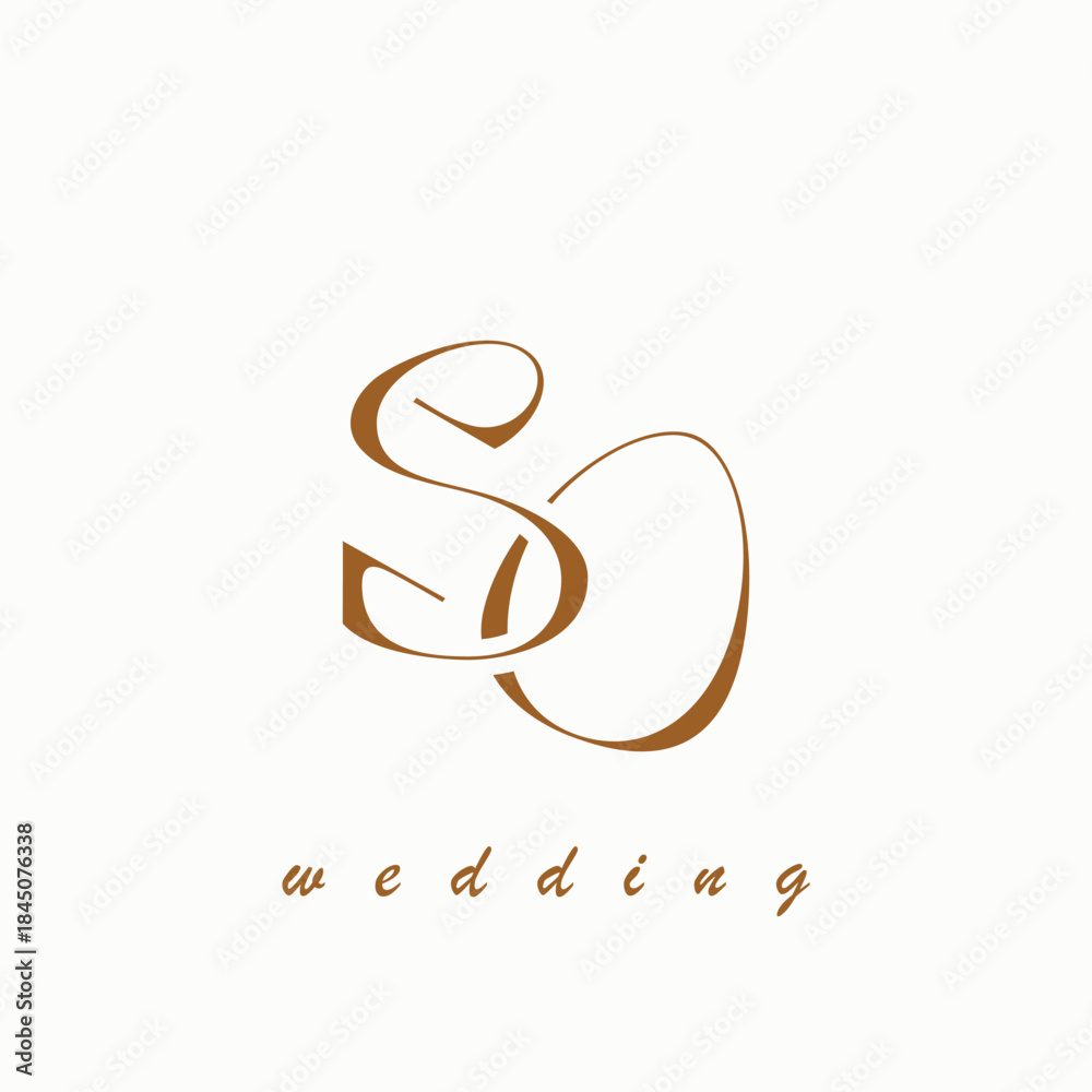 Fototapeta premium Web