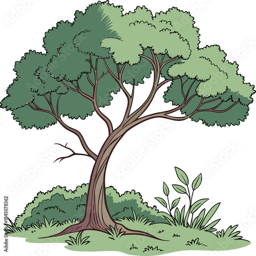 Collection of adorable cartoon green trees in a vector format