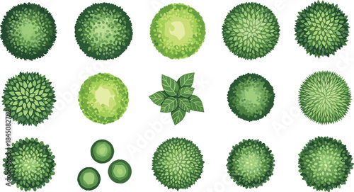 Top view green shrubs and garden foliage icons collection for landscape design, botanical planning, nature elements, vector illustration and outdoor mapping